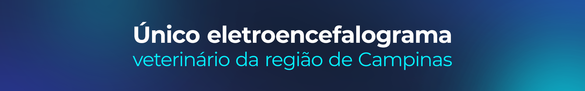 TG_banner_02_1920x300px